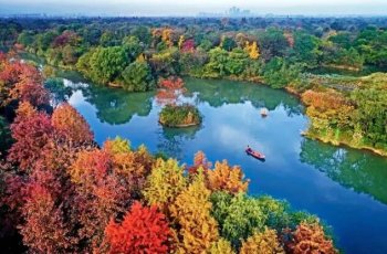西溪湿地绿堤对免票开放（含免费区域高清地图